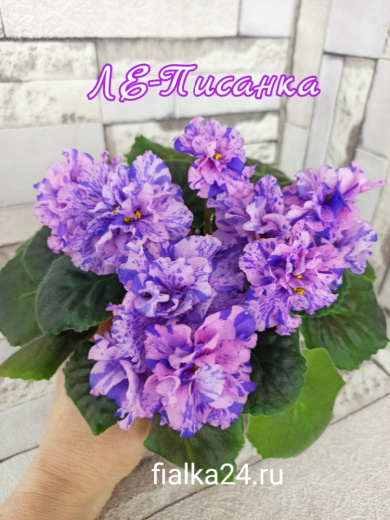 ЛЕ-Писанка