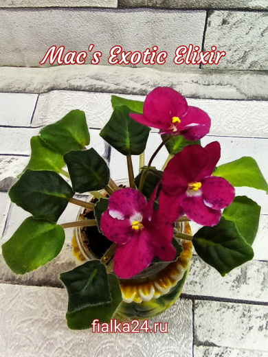 Mac's Exotic Elixir (McDonald)