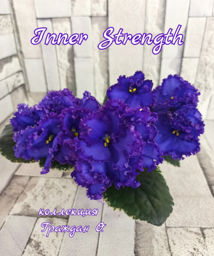Inner Strength (LLG/Sorano)