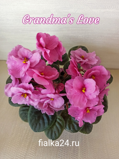 Grandma's Love (LLG/Sorano)