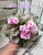 Rose Bouquet (Addison)