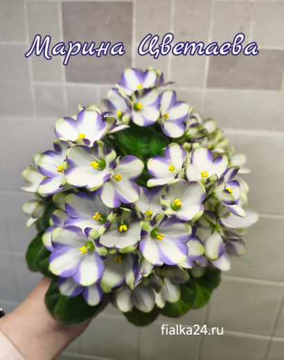 Марина Цветаева (Басенина)