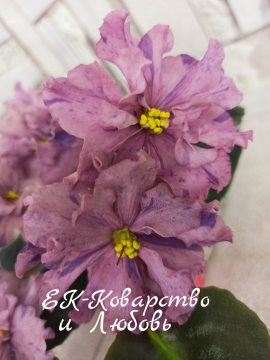 ЕК-Коварство и Любовь