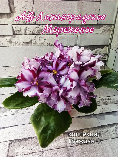 АВ-Ленинградское Мороженное