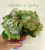 Reflection of Spring (LLG/Sorano)
