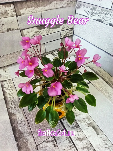 Snuggle Bear (L.Ray)
