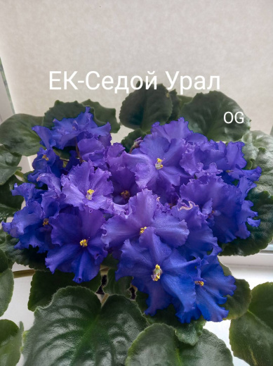 ЕК-Седой Урал