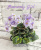 Heavenly Girl (Pittman)