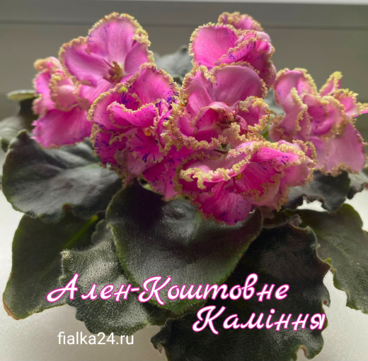 Ален-Коштовне Камiння