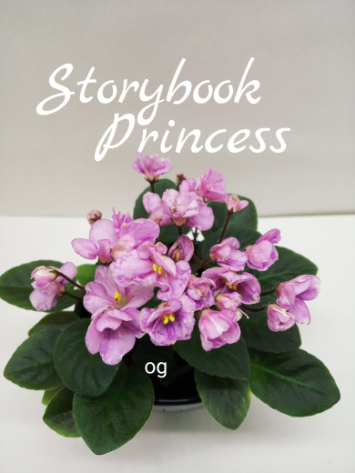 Storybook Princess (LLG/Sorano)