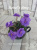Rebel's Amy (Bann)