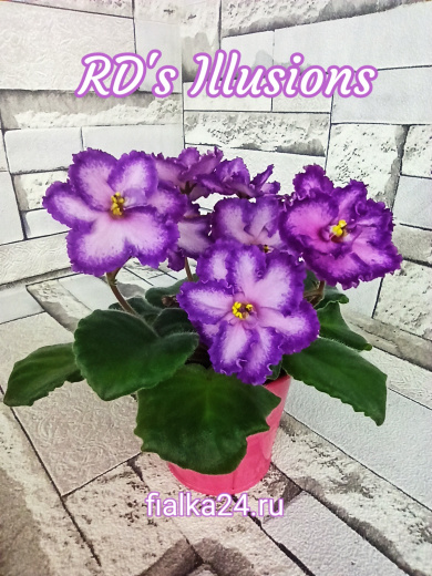RD’s Illusions (R&D.Townsed)