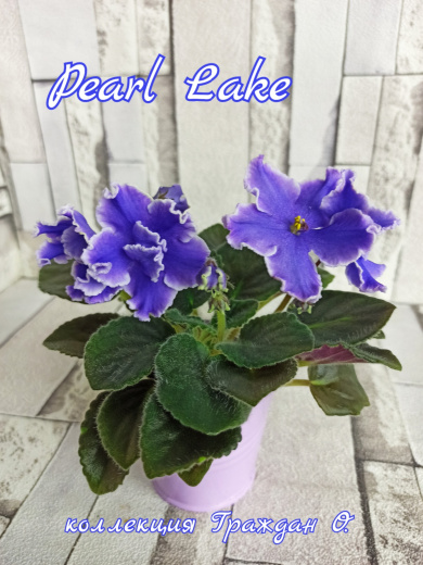 Pearl Lake (Sorano)