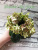Humako The Green (Humako)