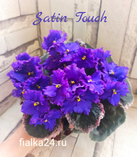 Satin Touch (LLG)