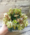 Humako The Green (Humako)