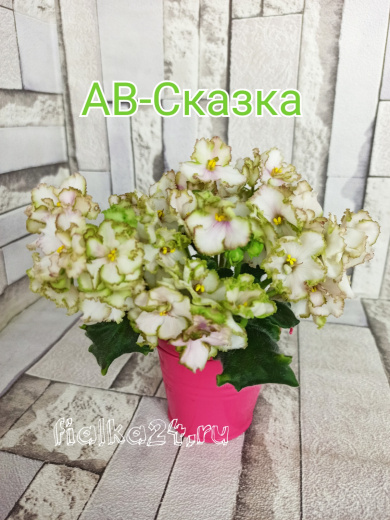 АВ-Сказка