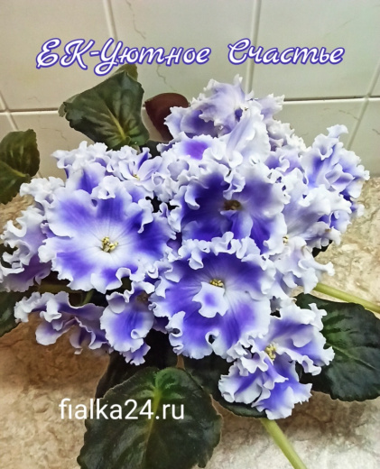 ЕК-Уютное счастье 