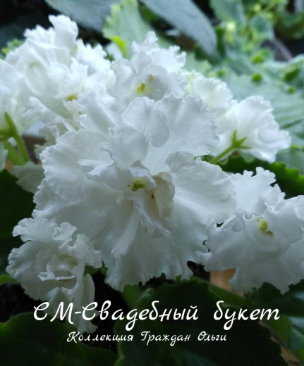 Свадебный букет