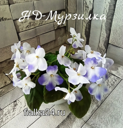 НД-Мурзилка