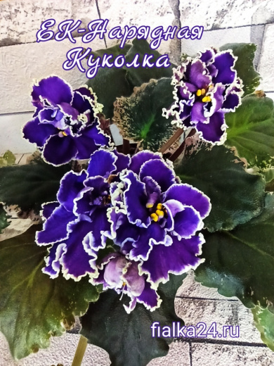 ЕК-Нарядная Куколка