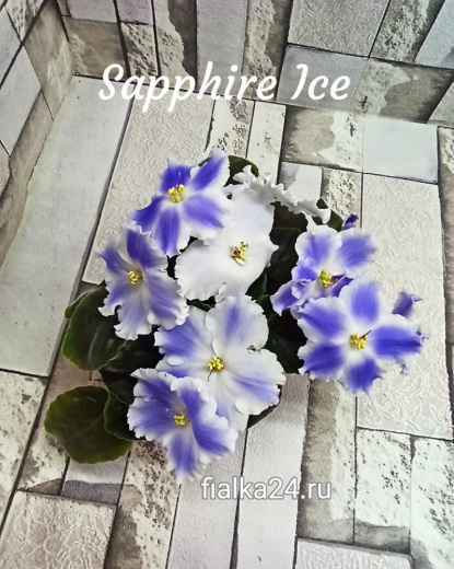 Sapphire Ice (LLG)
