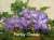 Partly Cloudy (Boon)