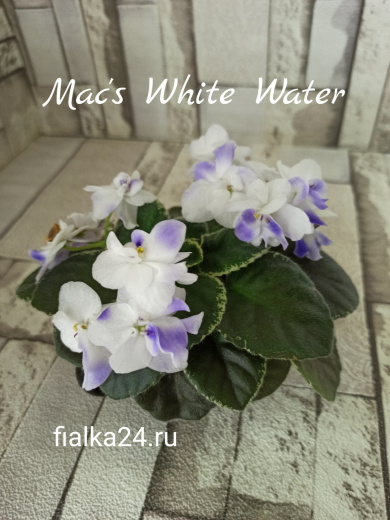 Mac's White Water (McDonald)