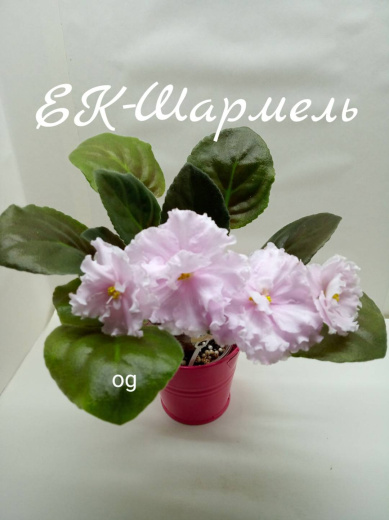 ЕК-Шармель