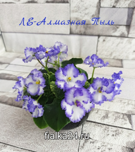 ЛЕ-Алмазная пыль