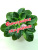 ВаТ-Амазонка