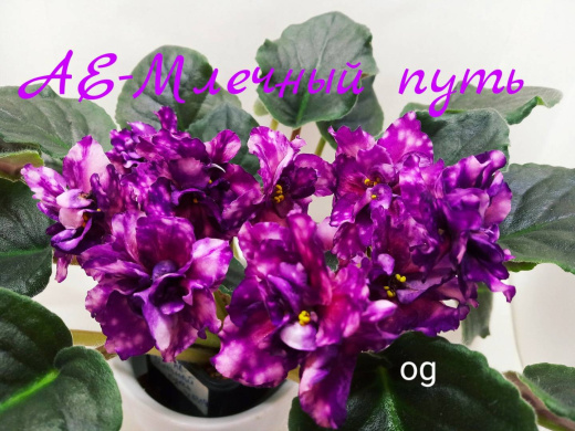 АЕ-Млечный путь