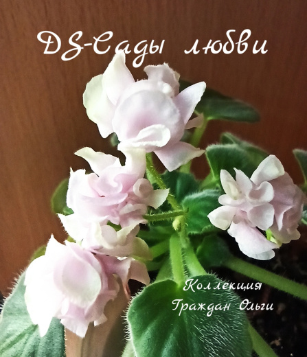 DS-Сады любви