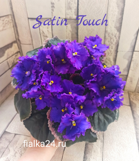 Satin Touch (LLG)