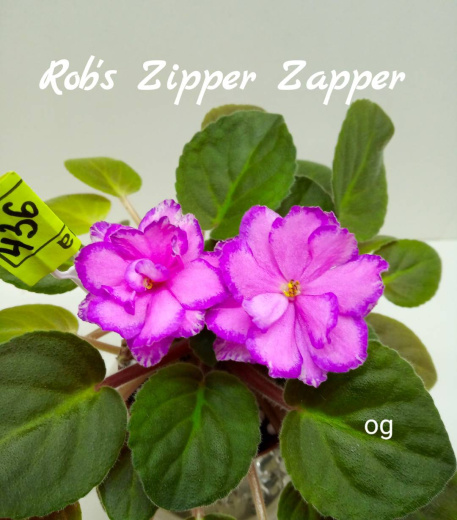 Rob’s Zipper Zapper (Robinson)