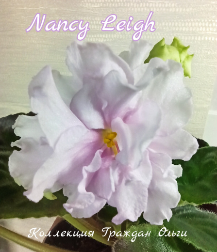 Nancy Leigh (Sorano)