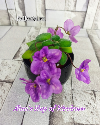 Mac's Kup of Kindness (McDonald)