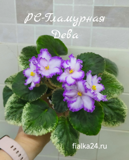 РС-Гламурная Дева
