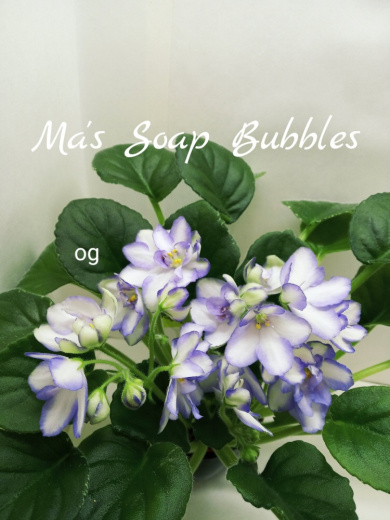 Ma’s Soap Bubbles (Robinson)
