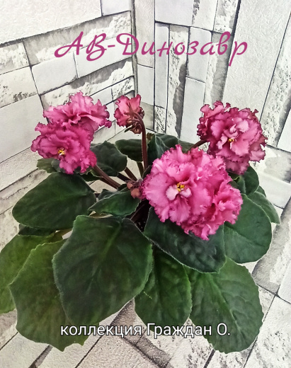 АВ-Динозавр
