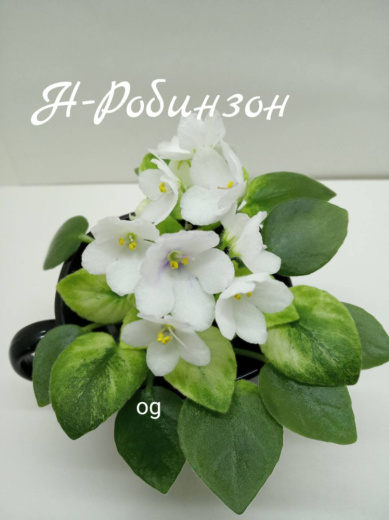 Н-Робинзон