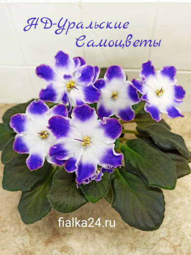 НД-Уральские Самоцветы