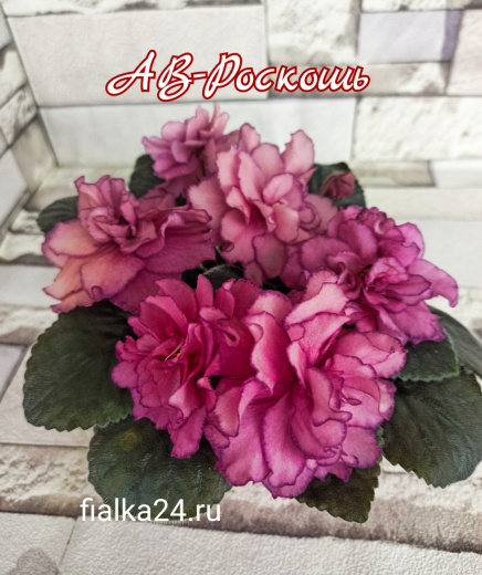 АВ-Роскошь
