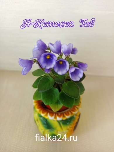 ЛЕ-Котенок Гав