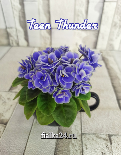 Teen Thunder (Pittman)