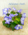 ЛЕ-Зоряне Сяйво