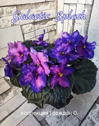 Galactic Splash (Sorano)