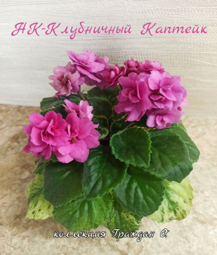НК-Клубничный Каптейк