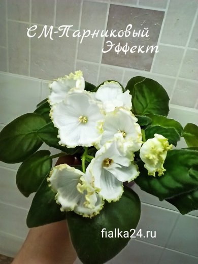 Парниковый эффект