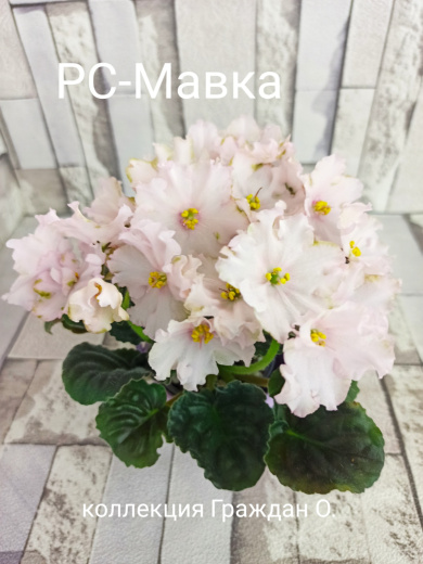РС-Мавка